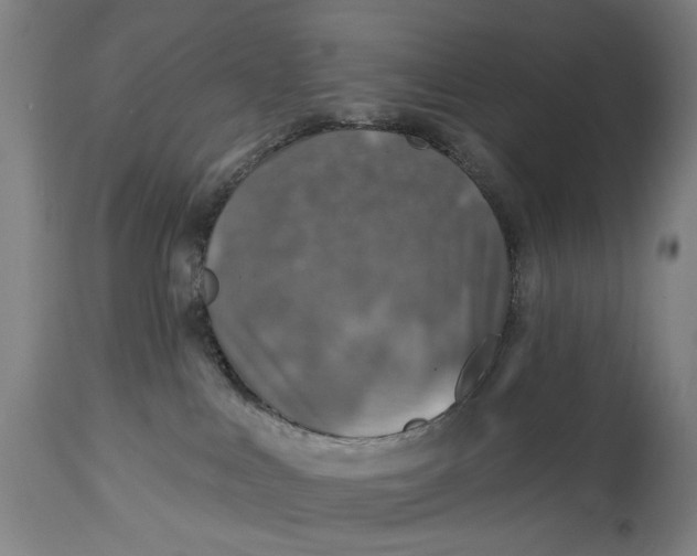 X0000114650043200911101330