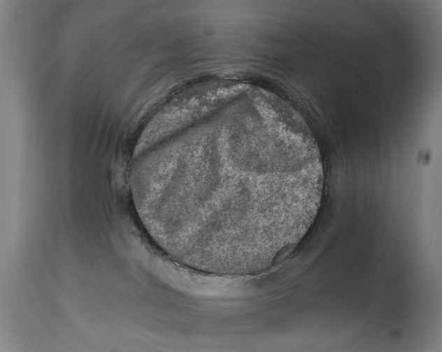 X0000114650044200911101330