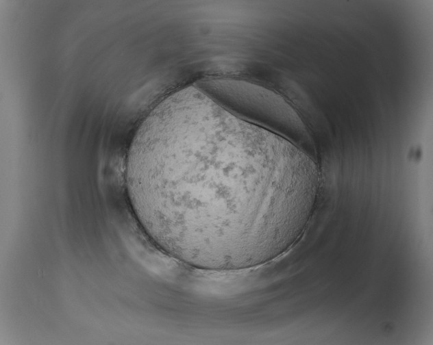 X0000114650045200911101330