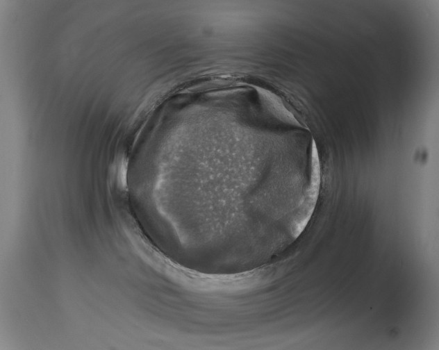 X0000114650046200911101330