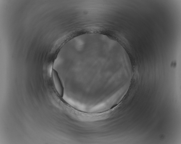 X0000114650047200911101330