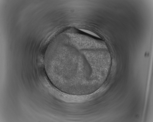 X0000114650048200911101330