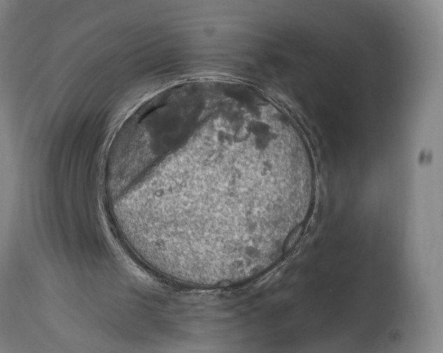 X0000114650049200911101329