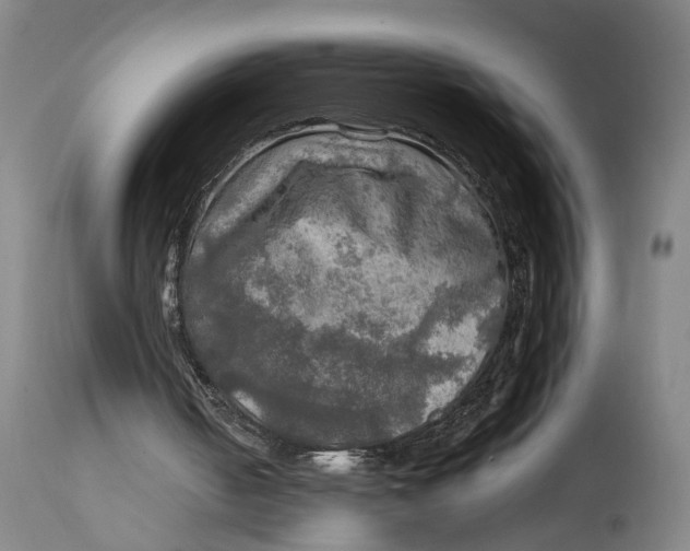 X0000114650050200911101329