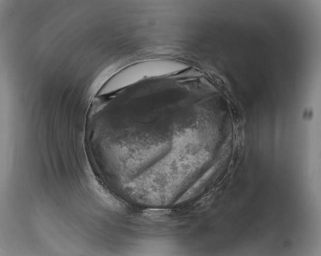 X0000114650051200911101329