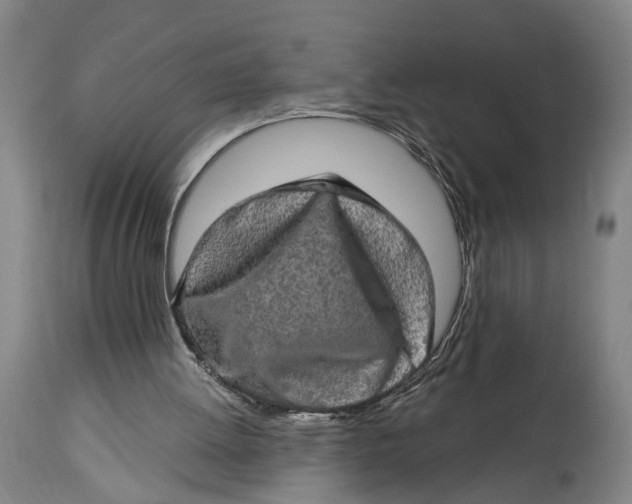 X0000114650052200911101329