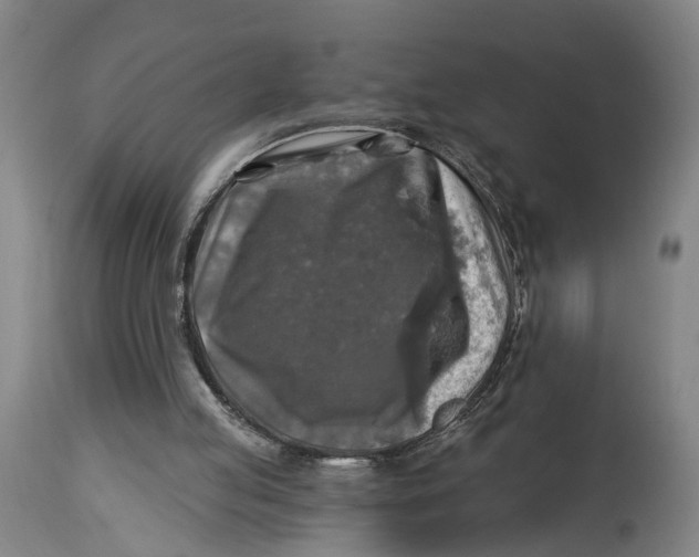 X0000114650053200911101329