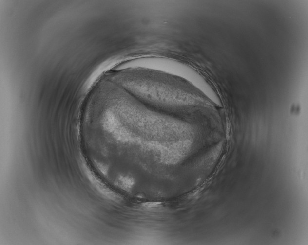 X0000114650054200911101329