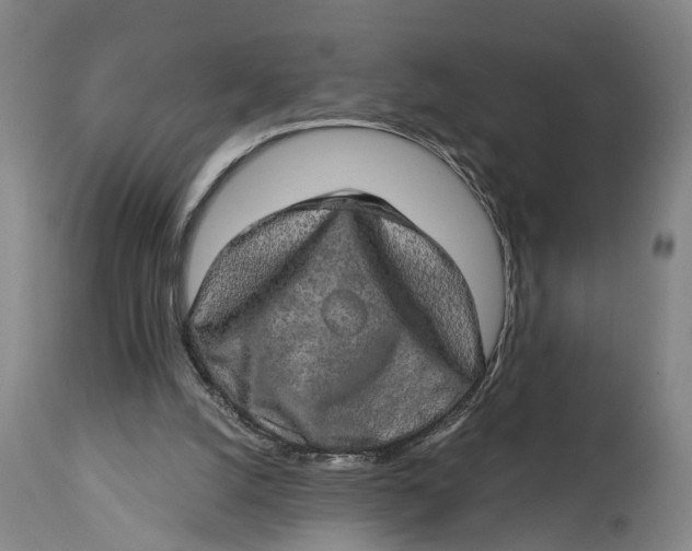 X0000114650056200911101329