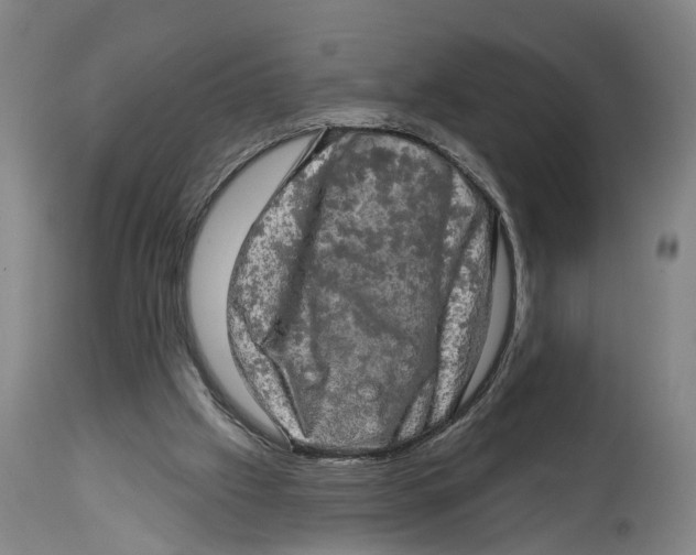 X0000114650057200911101329