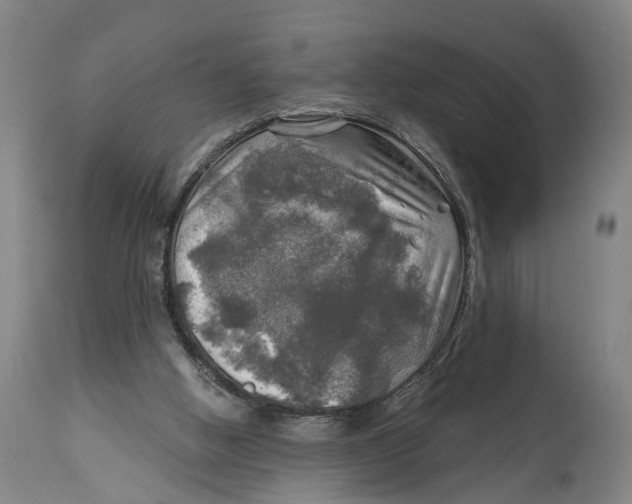 X0000114650058200911101329