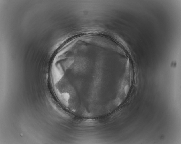 X0000114650059200911101329