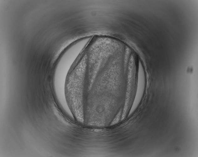 X0000114650060200911101329