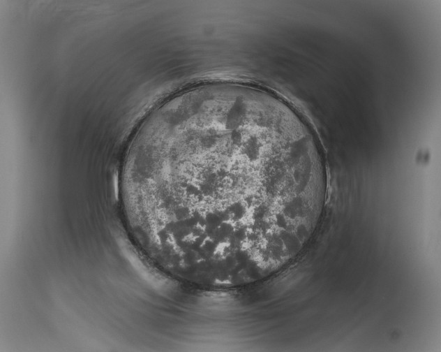 X0000114650061200911101330