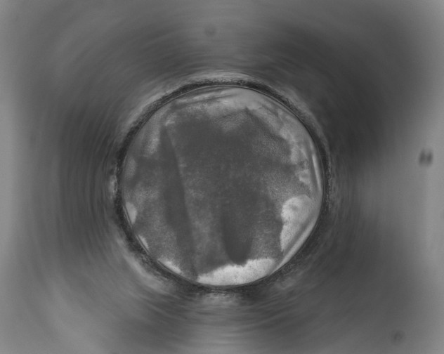 X0000114650063200911101330