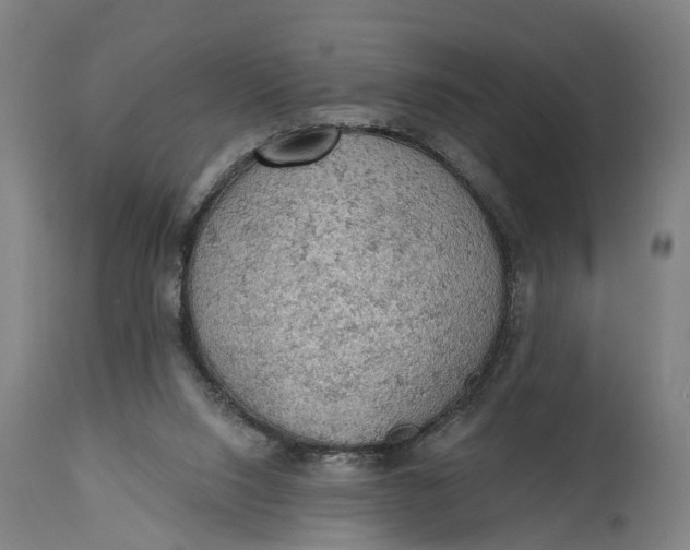 X0000114650064200911101330