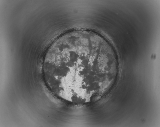 X0000114650065200911101330