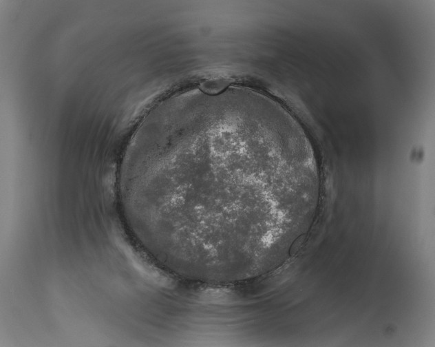 X0000114650066200911101330