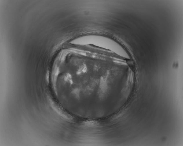 X0000114650067200911101330