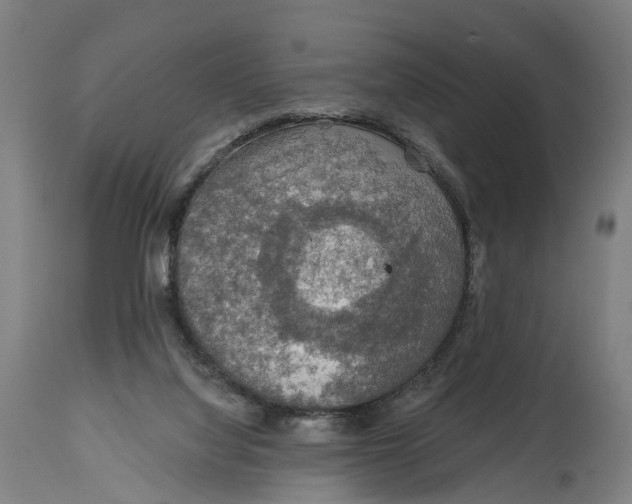 X0000114650068200911101330