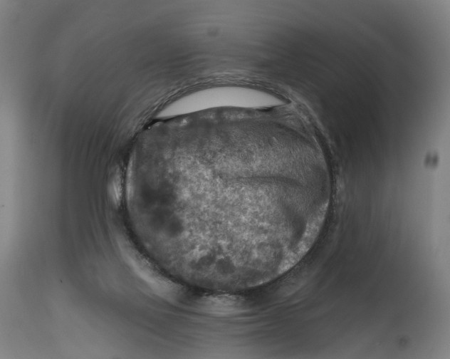 X0000114650069200911101330