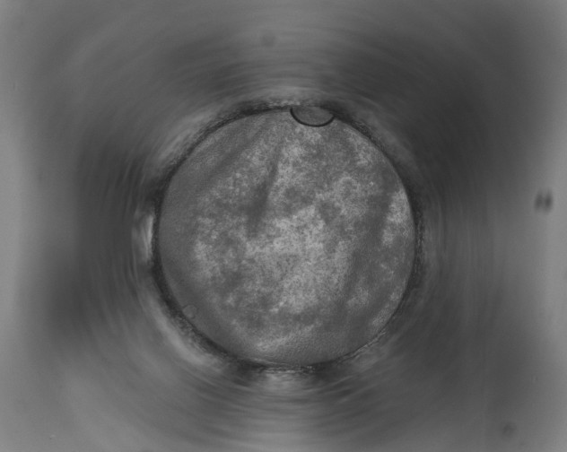 X0000114650070200911101330