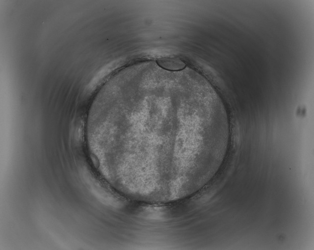 X0000114650071200911101330