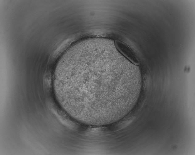 X0000114650072200911101330