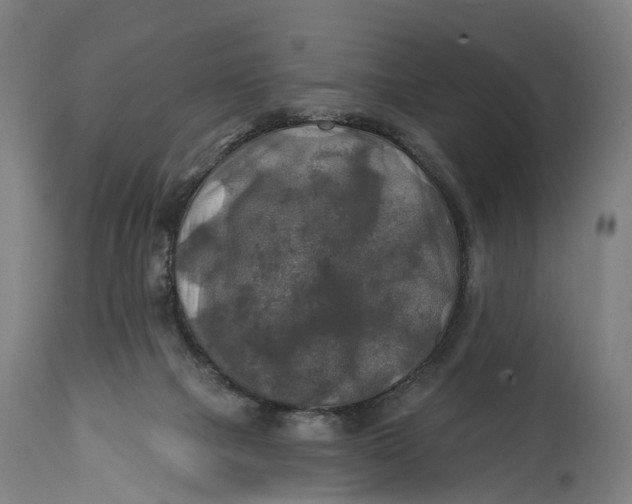 X0000114650073200911101330