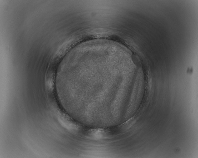 X0000114650074200911101330