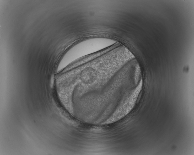 X0000114650076200911101330