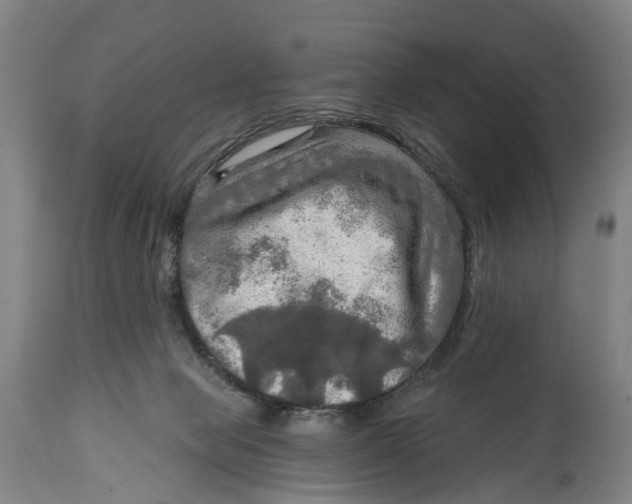 X0000114650077200911101330