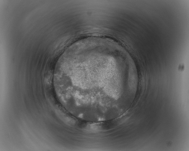 X0000114650078200911101330