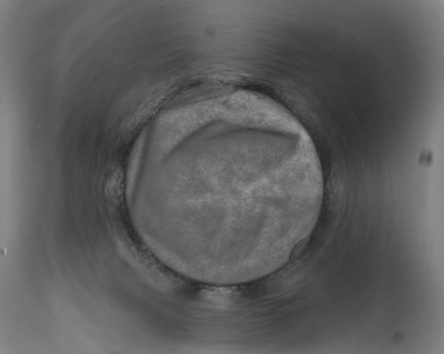 X0000114650079200911101330