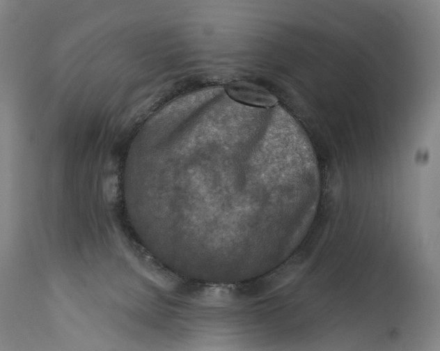 X0000114650080200911101330