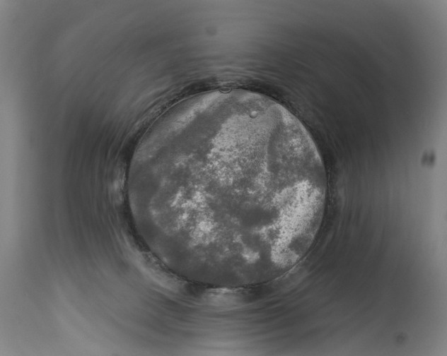 X0000114650082200911101330