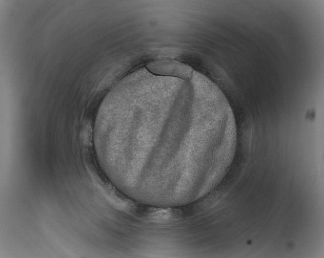 X0000114650083200911101330