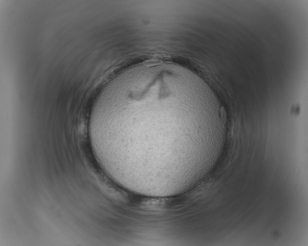 X0000114650084200911101330