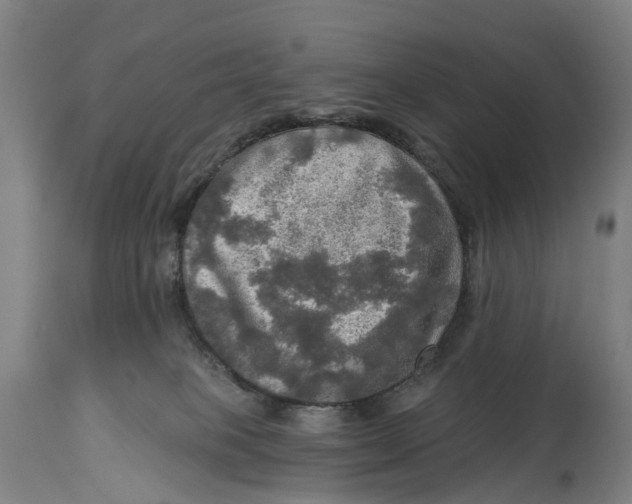 X0000114650085200911101330