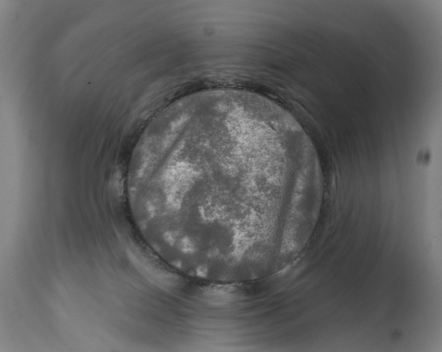 X0000114650086200911101330