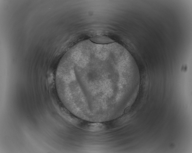 X0000114650087200911101330