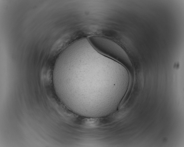 X0000114650088200911101330