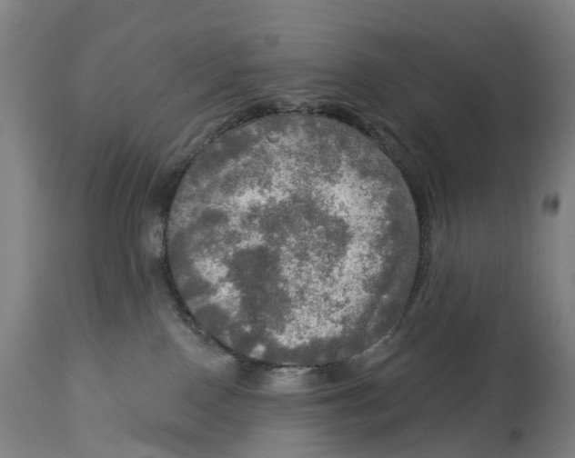 X0000114650090200911101330