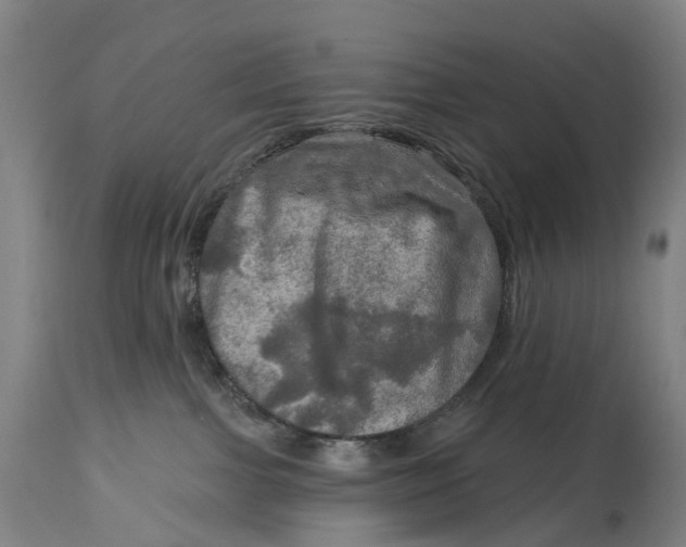 X0000114650091200911101330