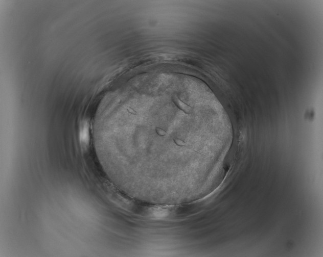 X0000114650094200911101330