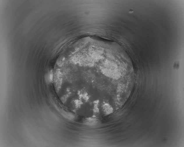 X0000114650095200911101330