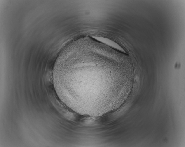 X0000114650096200911101330