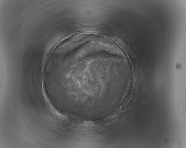 X0000114650097200911101329