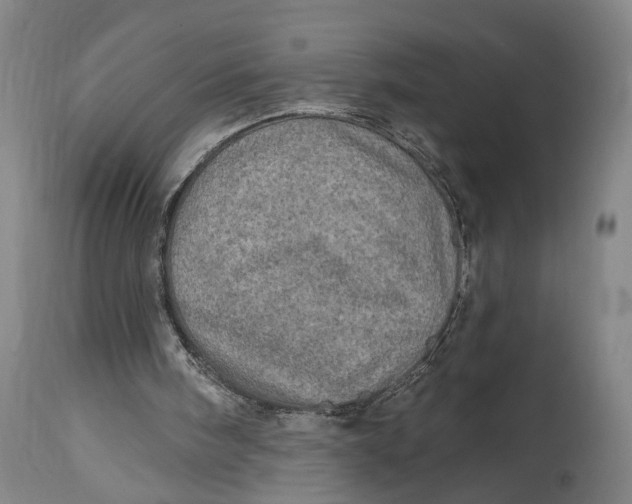 X0000114650098200911101329