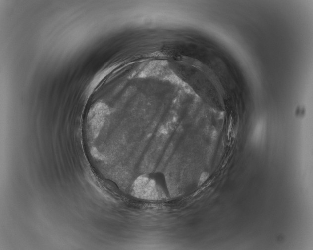 X0000114650099200911101329